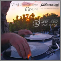 Vinyl_Live_Groove_Site_Lounge
